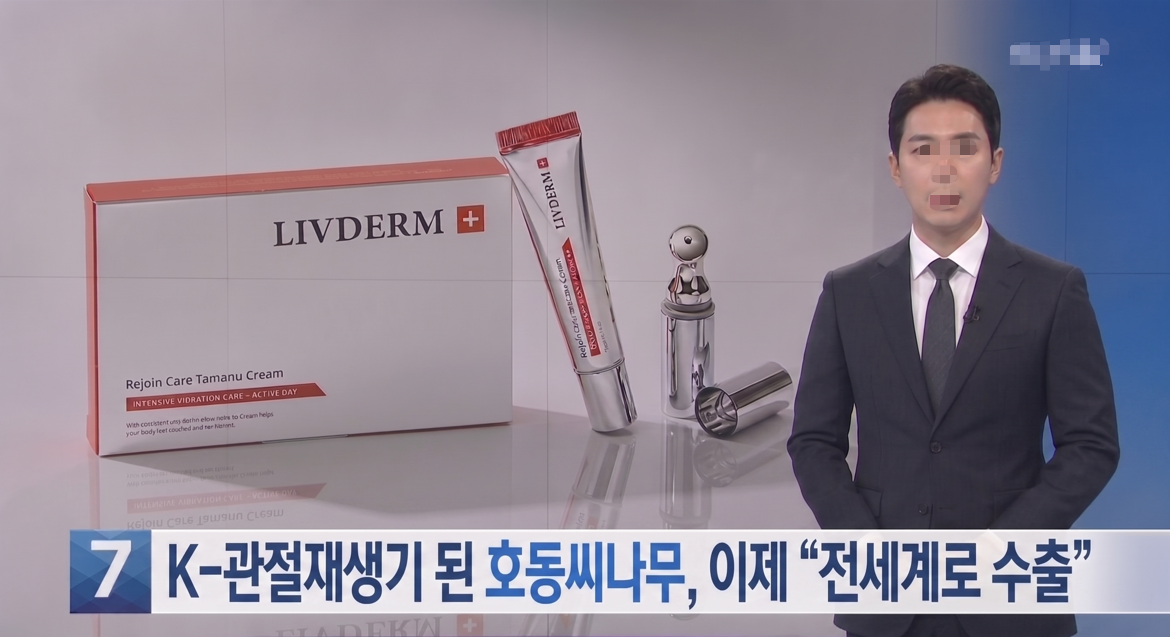 뉴스